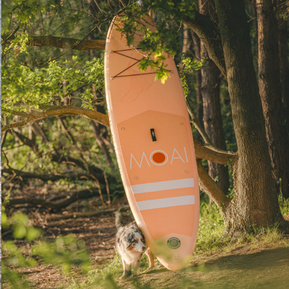 MOAI Beach Vibes SUP 10'6