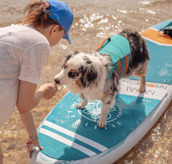 Moai Sup Hond Deckpad